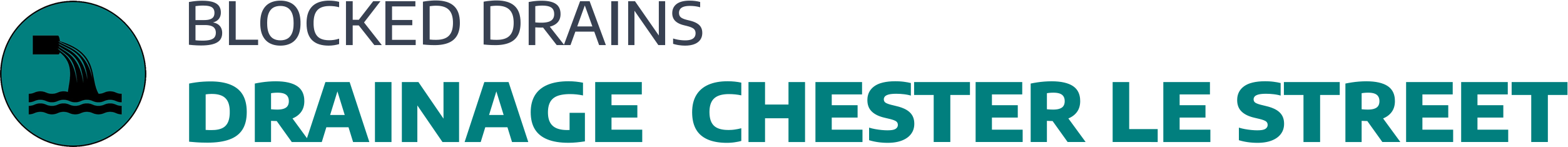 website logo